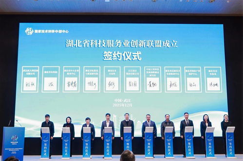 湖北省科技服务业创新联盟成立，信息技术咨询服务迈入新阶段