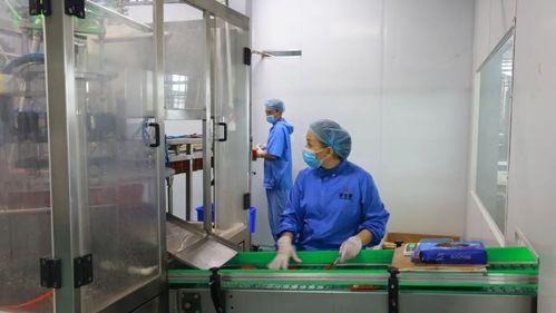 精河产业变形计 老工厂玩转5G，土特产变身潮品